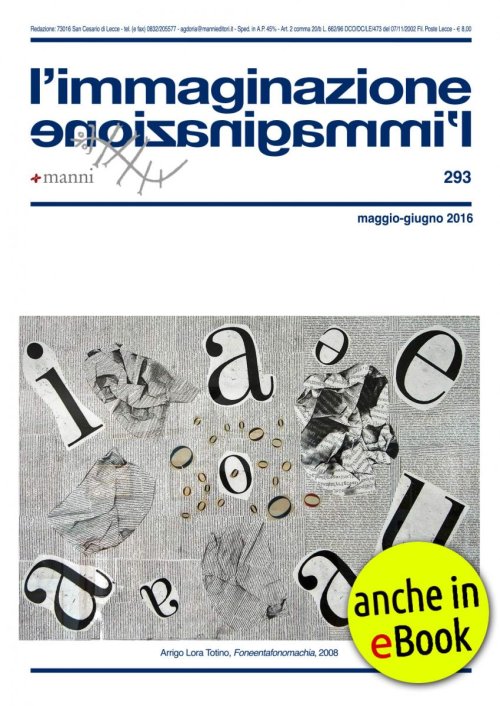 Copertina 293